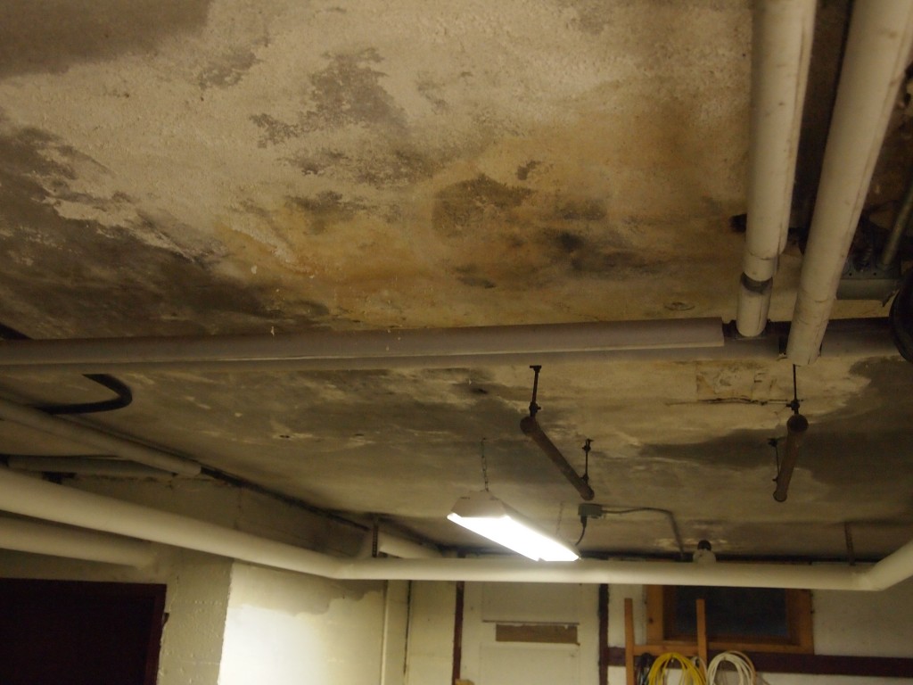 Plastered basement ceiling. This space used to be a garage.